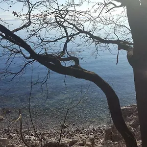 Sandi Rijeka